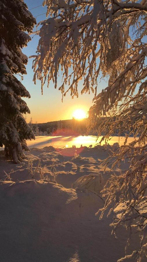 Villa Loma-Laattaja Hyrynsalmi Esterno foto