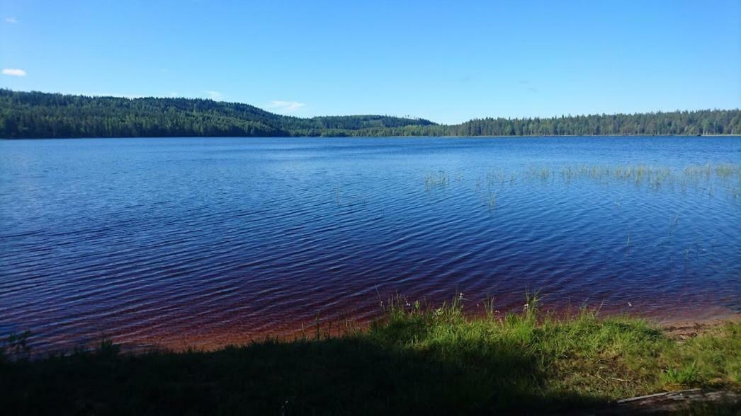 Villa Loma-Laattaja Hyrynsalmi Esterno foto